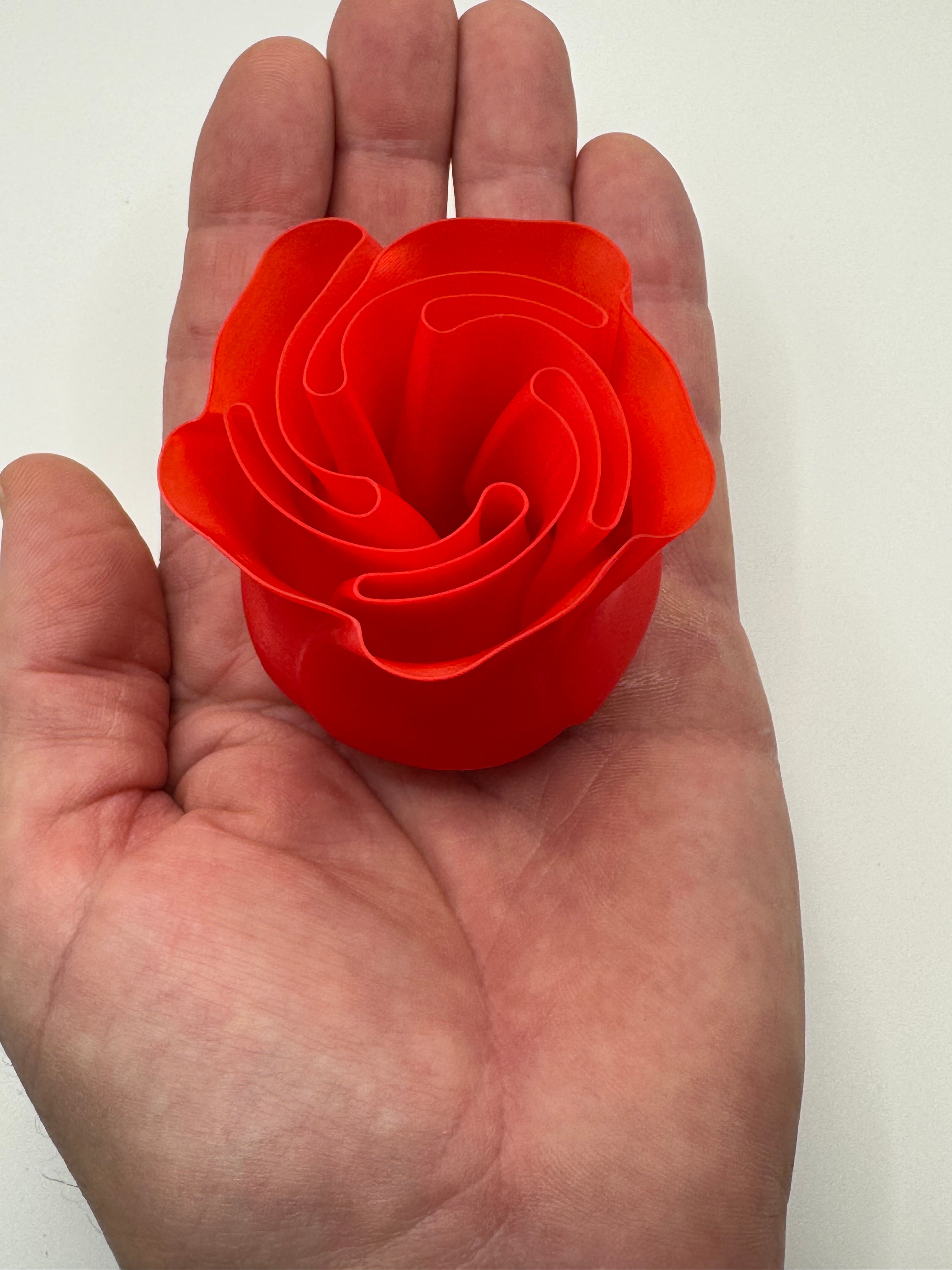 3d red rose