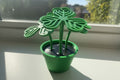 shamrock planter pot