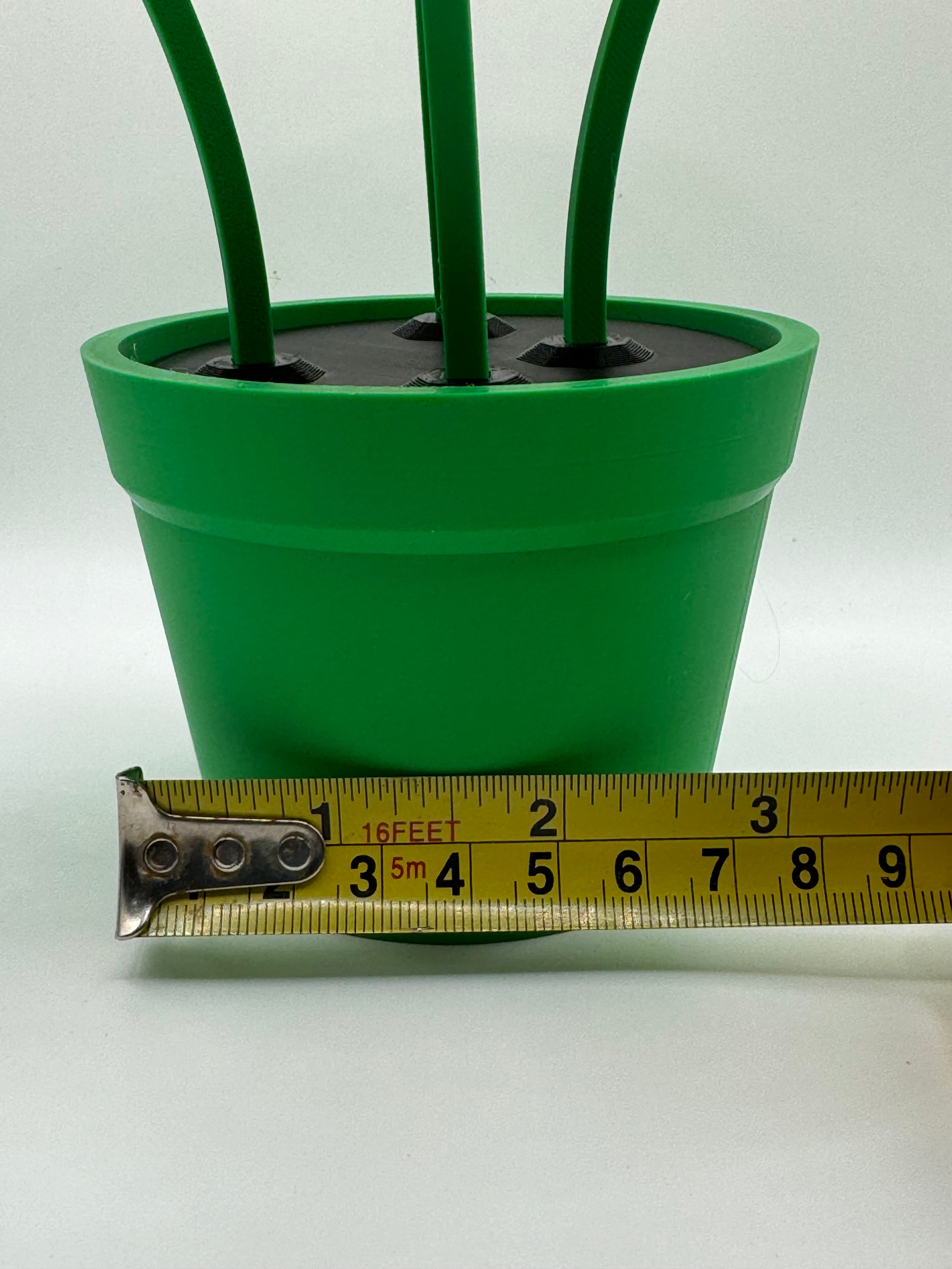 Smiley face flowers with pot indoor or outdoor use - Free Shipping